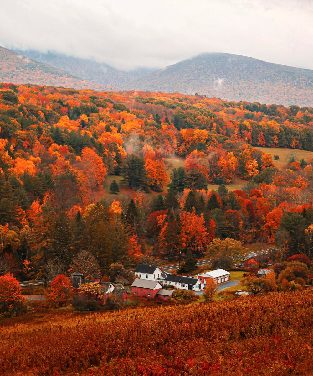 19 Best Things To Do In Williamstown, Massachusetts GoXplr